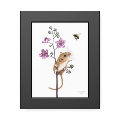 Fine art Druck gerahmt – Haselmaus