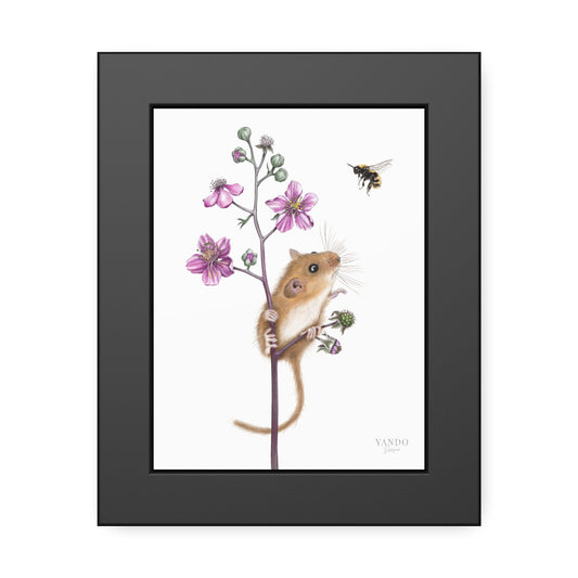 Fine art Druck gerahmt – Haselmaus
