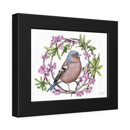 Fine art Druck gerahmt – Buchfink