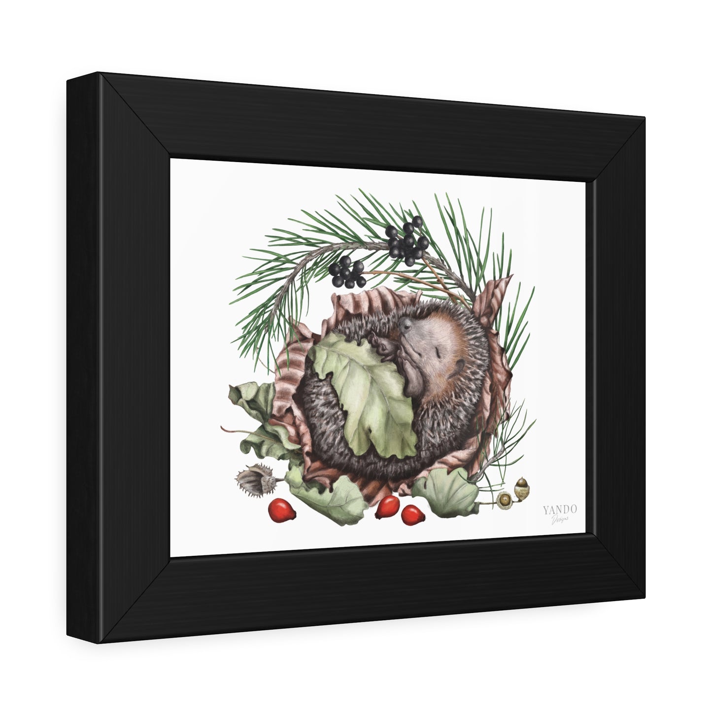 Fine art Druck gerahmt – Igel