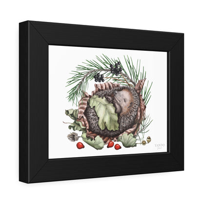Fine art Druck gerahmt – Igel