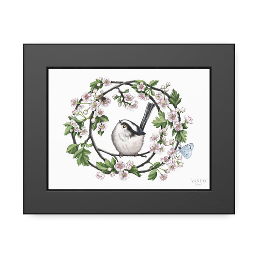 Fine art Druck gerahmt – Meise