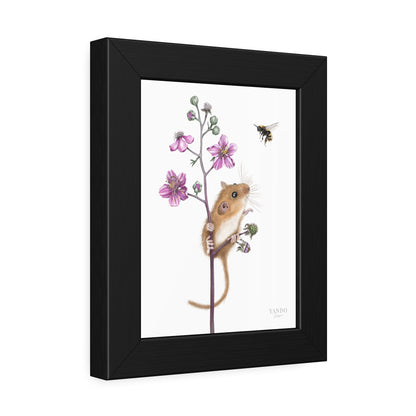 Fine art Druck gerahmt – Haselmaus