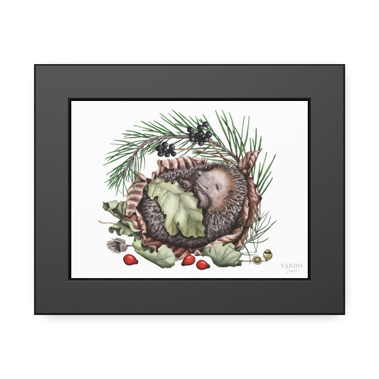 Fine art Druck gerahmt – Igel