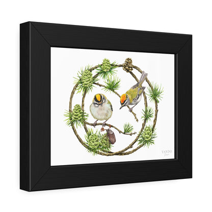 Fine art Druck gerahmt – Goldhähnchen