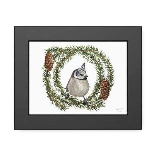 Fine art Druck gerahmt – Haubenmeise