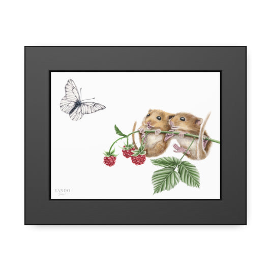 Fine art Druck gerahmt – Haselmäuse