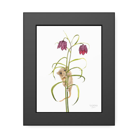 Fine art Druck gerahmt – Haselmaus