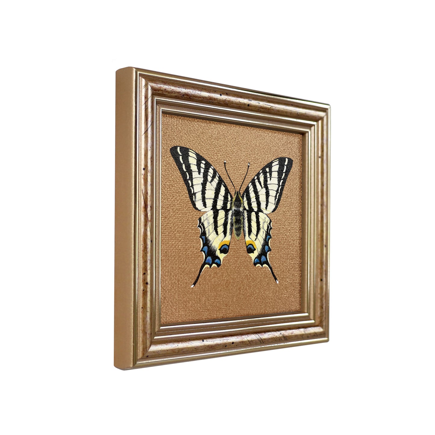 Handgemaltes Original Segelfalter Schmetterling