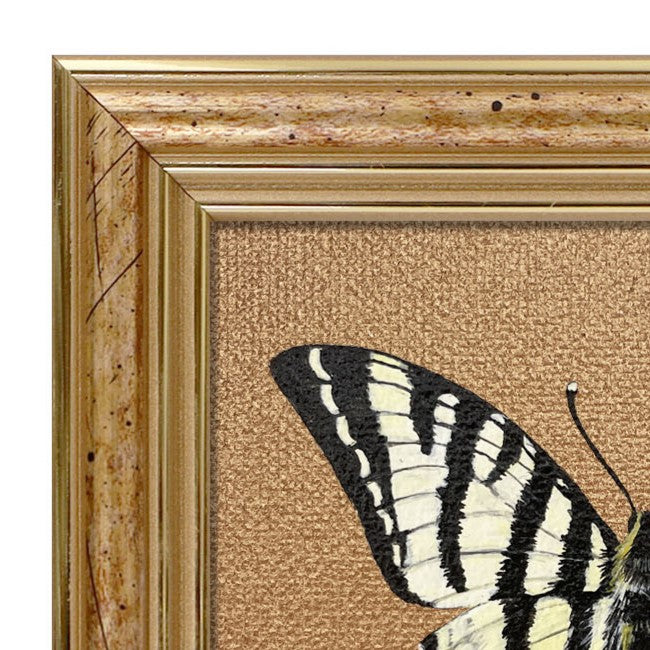 Handgemaltes Original Segelfalter Schmetterling